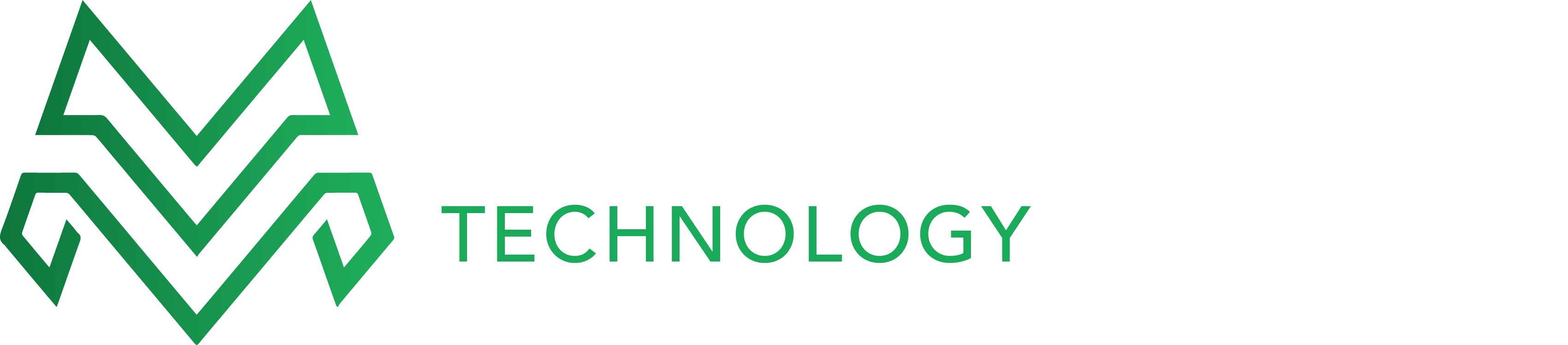 Magnesium Technology Group